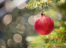 Russian Language Video Lessons 的图像结果