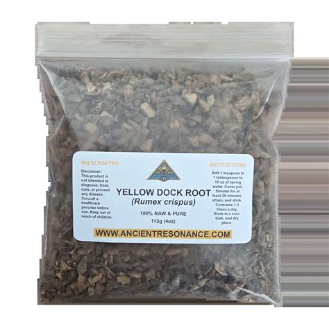 Yellow Dock Root - Ancient Resonance