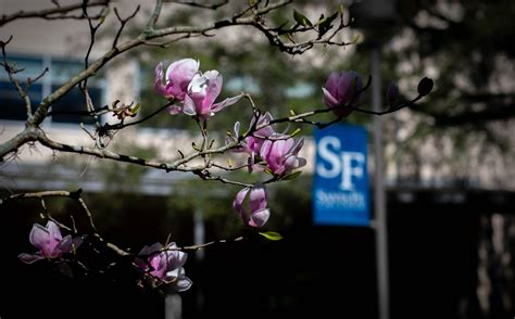 Santa Fe College Employees, Location, Alumni | LinkedIn