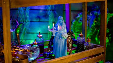 Image result for Haunted Mansion Bride Loop