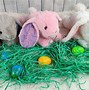Image result for Stuffed Easter Bunnies for Children