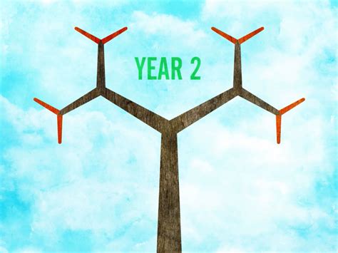 Image result for Math Nature Pattern