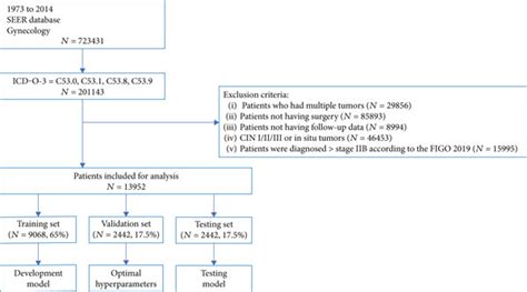 Deep Learning Workflow Data Acqusition Preprocessing 的图像结果