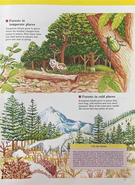 A Child's First Library of Learning-Ecology and Environment
