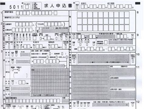 Knapsack Dynamic Programming 的图像结果