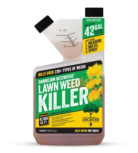 What Kills Dandelions