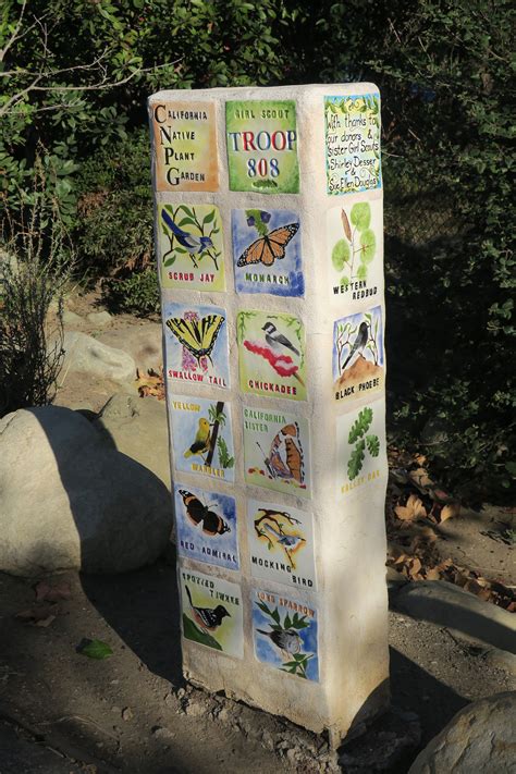 Photo Gallery | Brentwood Green | At Brentwood Science Magnet School