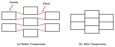 Development and Applications of 3D Printing-Processed Auxetic ...