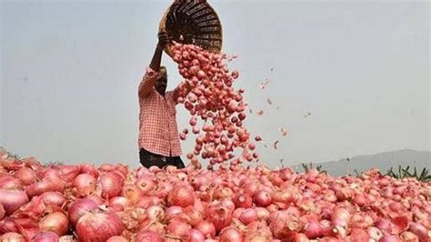 Govt removes restrictions on onion exports, sets minimum export price ...