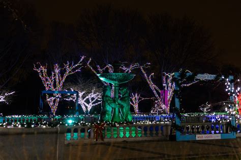 Wild Lights 2025 | Best Holiday Light Show in Detroit | Detroit Zoo