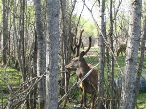 THE BEST Places to Visit in Matagami (2025) - Must-See Attractions