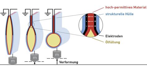 Image result for How to Build Artificial Muscles Move
