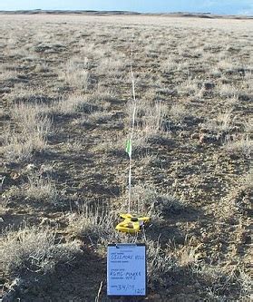 Image result for Ecological Sampling Using a Line Transect