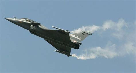 India: Fuerza Aérea preocupada por posibles ataques (de palomas) a sus ...
