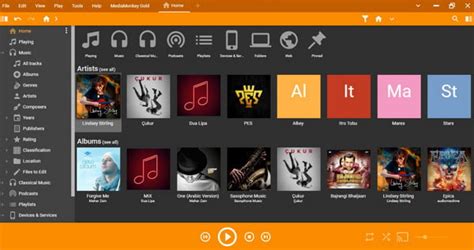 MediaMonkey Tutorial 的图像结果