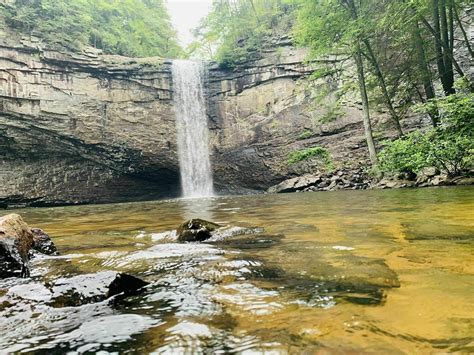 Foster Falls Overlook Trail - Tennessee | AllTrails