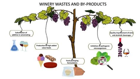 Bioactive Compounds from Vine Shoots, Grape Stalks, and Wine Lees ...