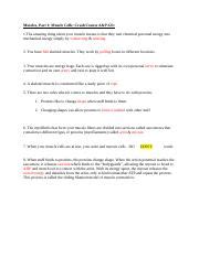 Crash Course Muscles 的图像结果