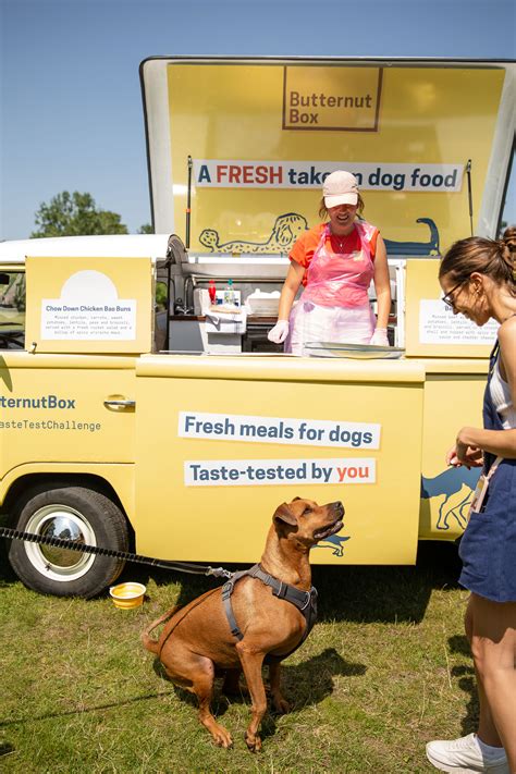 Dogs Taste Testing Food 的图像结果