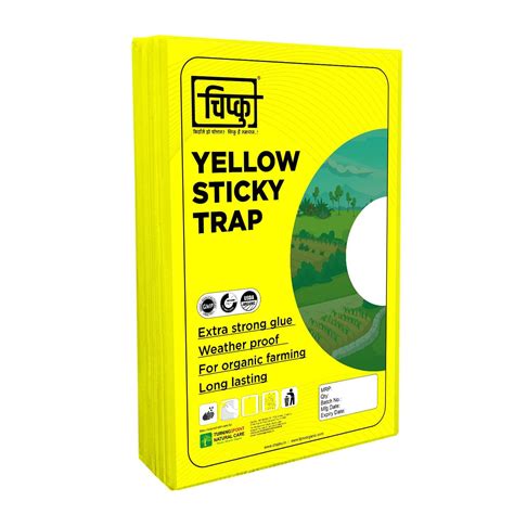 Chipku® Yellow Sticky Trap A4 Size Pack-10 Trap For Garden ...