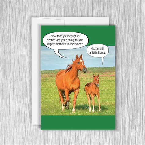 Funny Little Horse Birthday Card, Funny Birthday Card, Funny Greeting ...