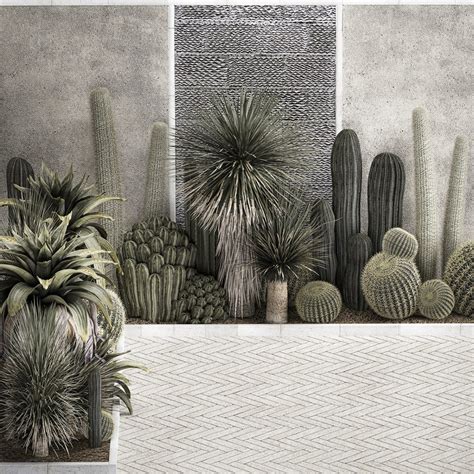 Collection Of Tropical Desert Plants - 3D Model for VRay