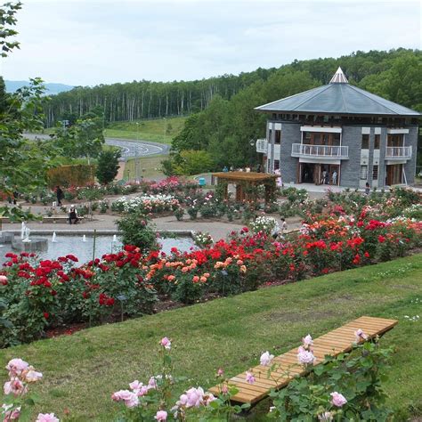 ROSE GARDEN CHIPPBETSU (2026) All You Need to Know BEFORE You Go (with ...