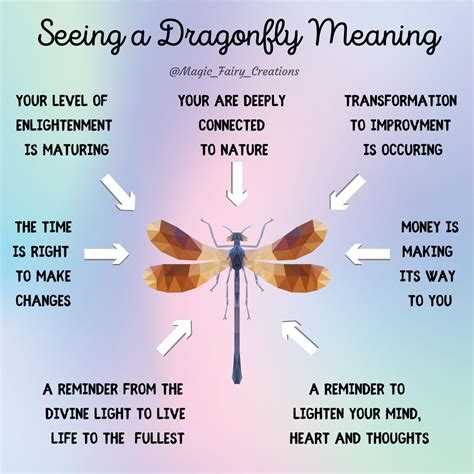 Discover the Spiritual Meaning of Dragonflies