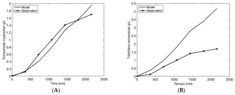 A Molecular Dynamic Model of Tryptophan Overproduction in Escherichia coli