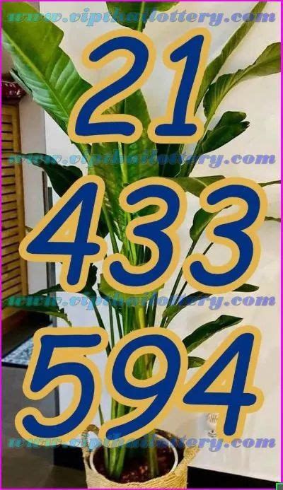 philippine lotto draw schedule india - Top Rated: high roller bonus ...