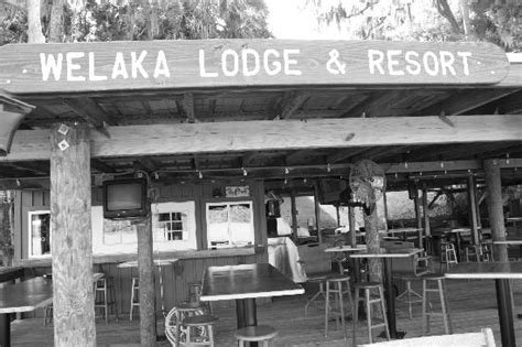 Welaka Photos - Featured Images of Welaka, FL - Tripadvisor