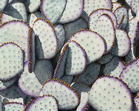 My first watercolor of 2024 is another Santa Rita Prickly Pear cactus🌵🌵 ...