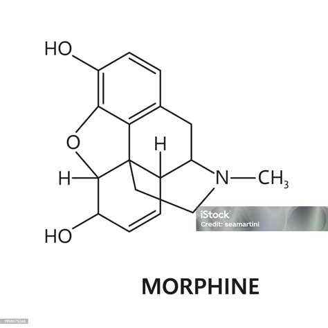 Structure Of Morphine