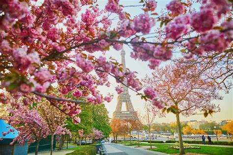 In Bloom: Paris in Spring | Omio