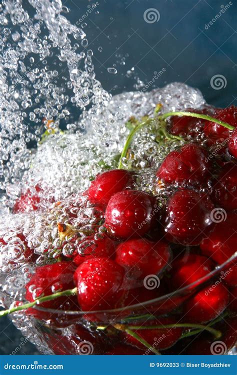 Cherries in water stock image. Image of green, cherries - 9692033