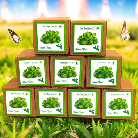Mini Italian Basil Grow Kits – Set of 9 | Eco-Friendly Gardening Gifts ...