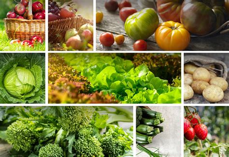 Produce 的图像结果