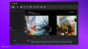 Image result for Website Video Example