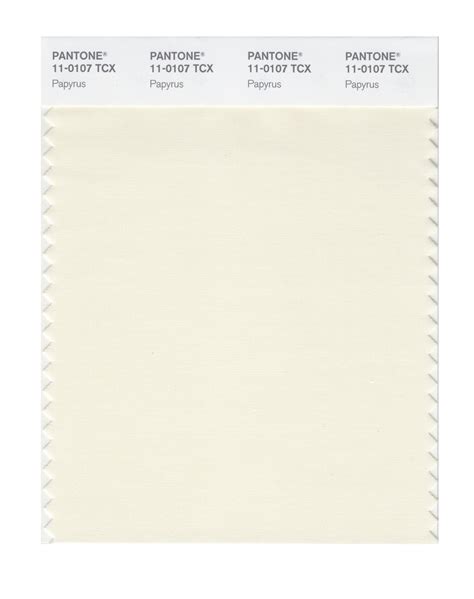 Buy PANTONE Smart 11-0107X Color Swatch Card, Papyrus Online at ...