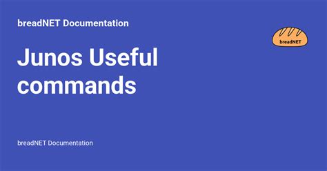 Junos Python Script Example 的图像结果