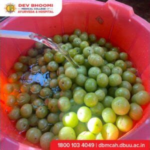 Best BAMS College in Dehradun, Uttarakhand | DBMCAH