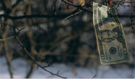 Finding Unclaimed Money 的图像结果