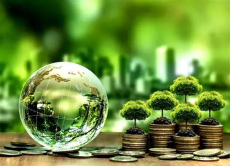 Greening MSMEs: India’s Push for Sustainable & Circular Growth