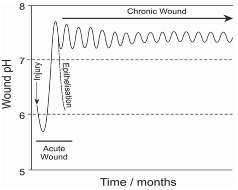 Progress of Hydrogel Dressings with Wound Monitoring and Treatment ...