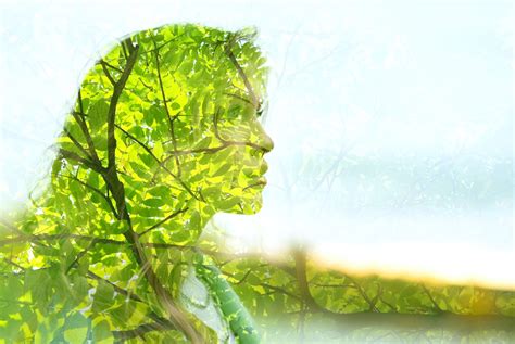 What Your Favorite Color Says About You Green at Jonathan Landseer blog