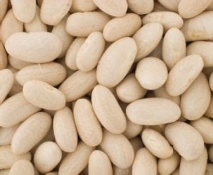 justcooking.in - Food Dictionary - Cereals - White Emergo Beans