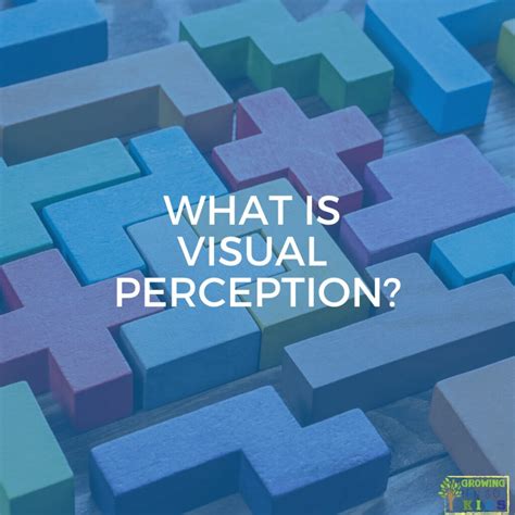 Image result for Visual Perception Psychology. Examples