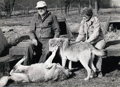 Image result for Human Wolves 1914