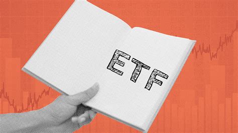The Ultimate Guide to Dividend ETFs | Betashares