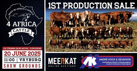 4 Africa Cattle 1st Production Sale, Vryburg Showgrounds, Wolmaransstad ...
